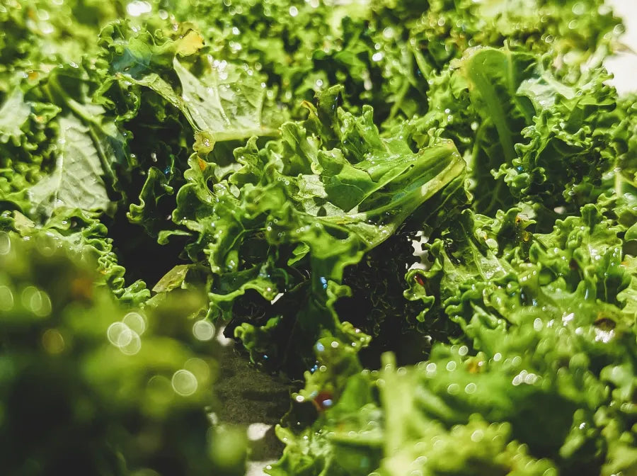 Manon’s Kale Chips with Activated Tahini