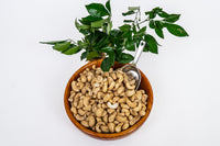 Organic Activated Cashews