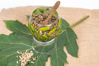Organic Activated Sunflower Seeds