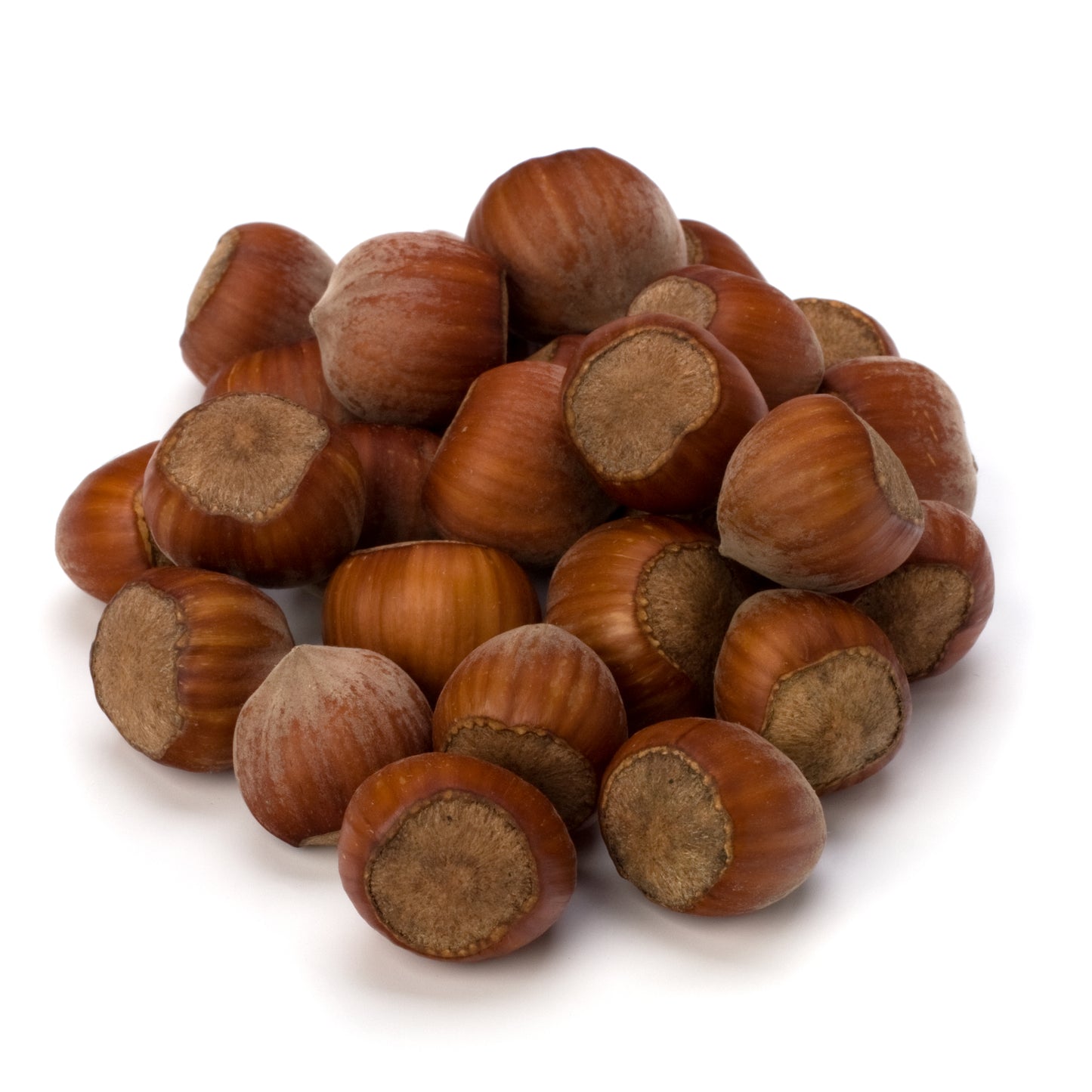 Australian Hazelnuts in Shell