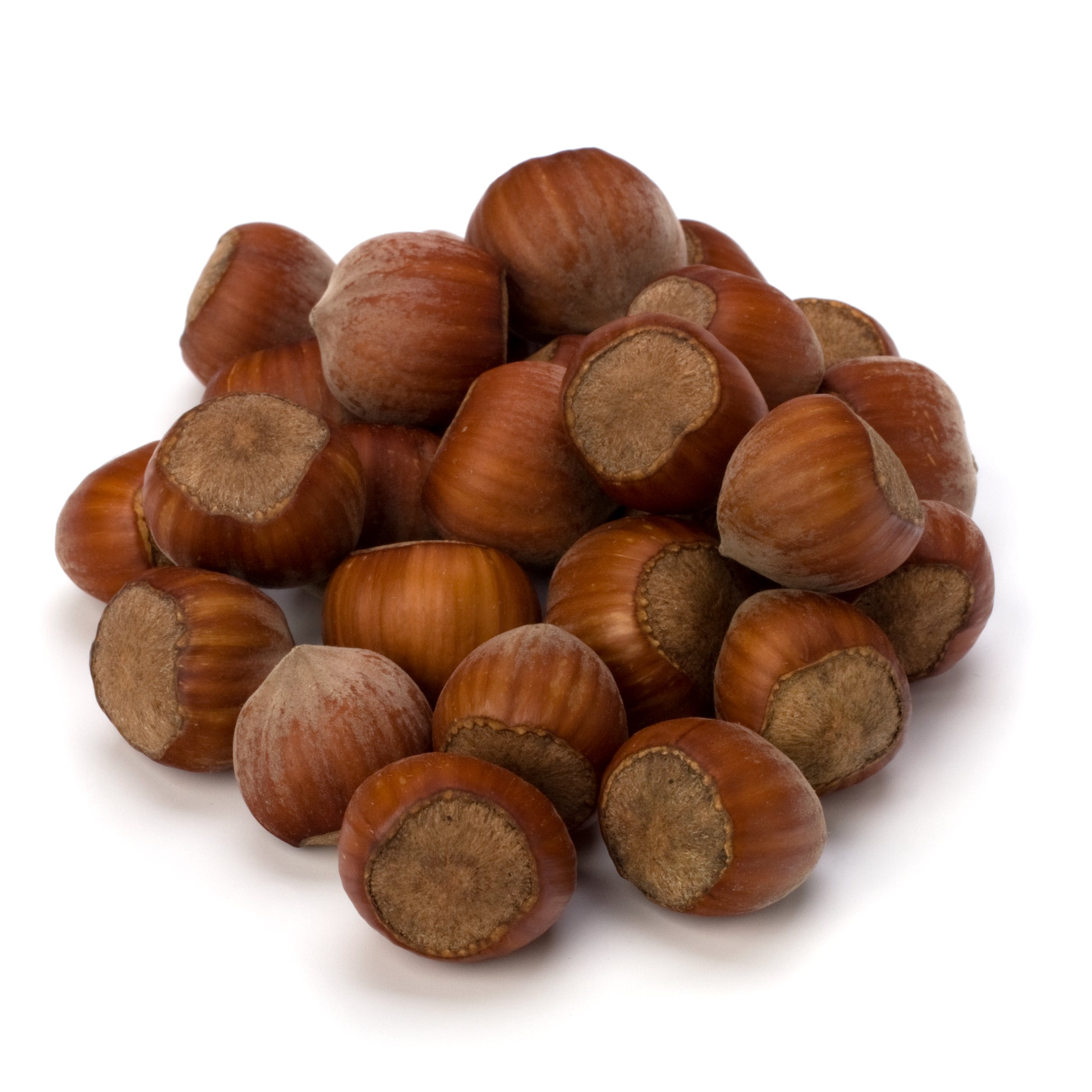 Australian Hazelnuts in Shell