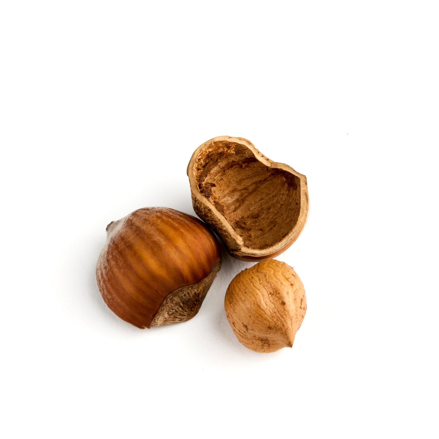 Australian Hazelnuts in Shell