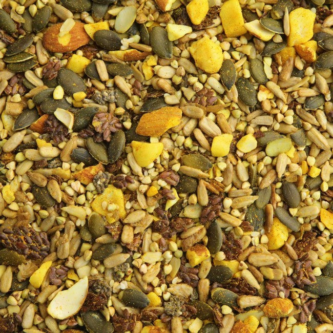 Organic Activated Salad Mix