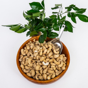 Activated Cashew 2