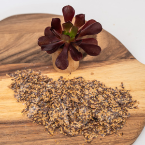Activated Linseeds 2