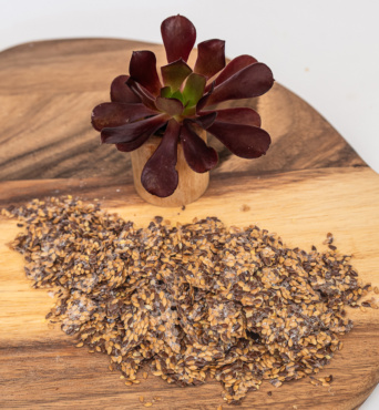 Activated Linseeds 2