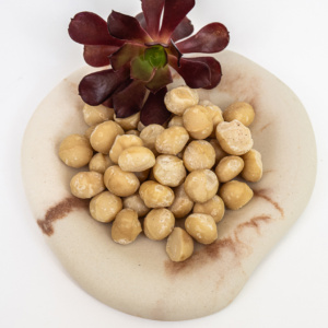 Activated Macadamia 2