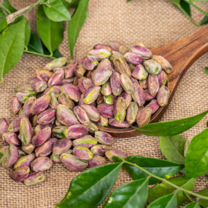 Activated Pistachio 1