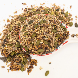Seed Mix 1